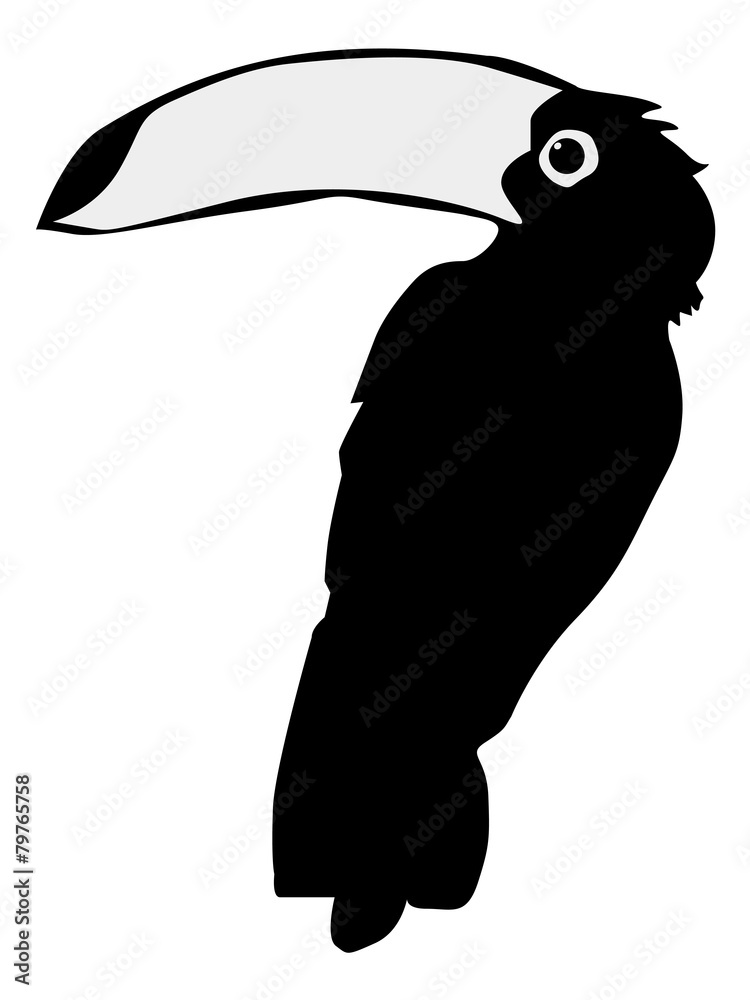 Obraz premium toucan