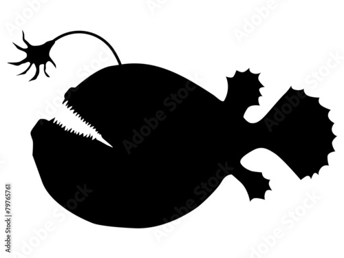 Photos deep-sea fish