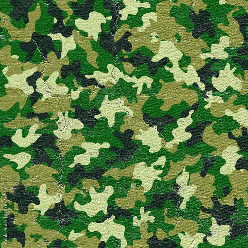 Camouflage cover