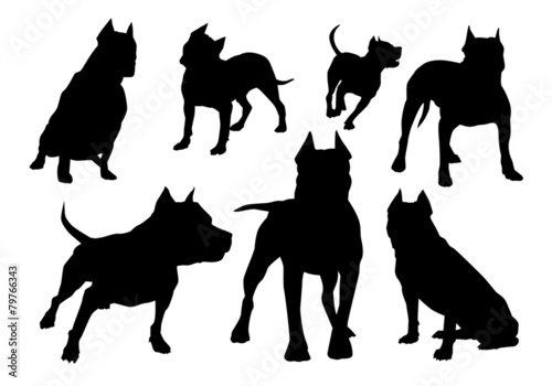 amstaff silhouettes