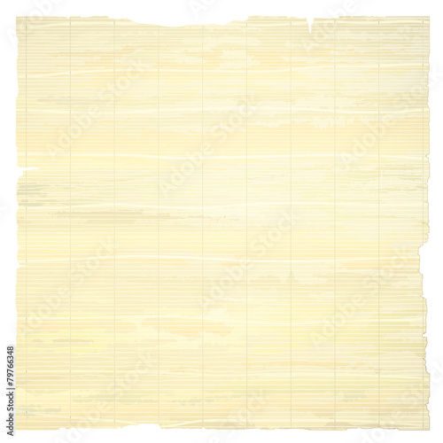 Tattered papyrus paper