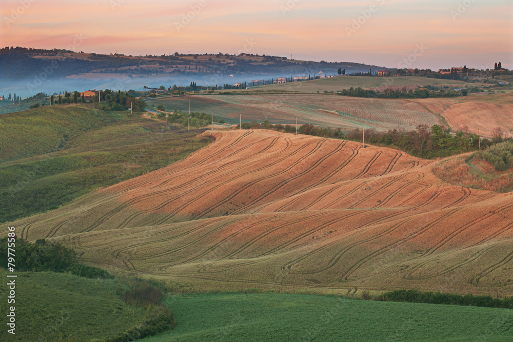 Typical Tuscany Landscape