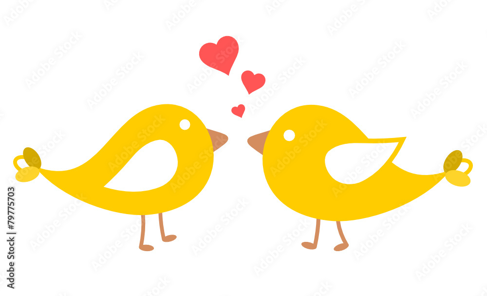 Vögel Liebe