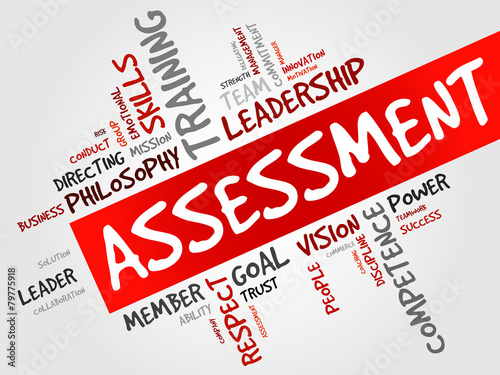 ASSESSMENT word cloud, business concept