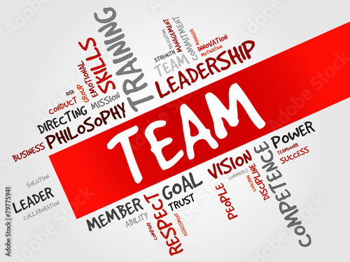 TEAM word cloud, business concept