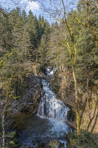 Cascade des Vosges