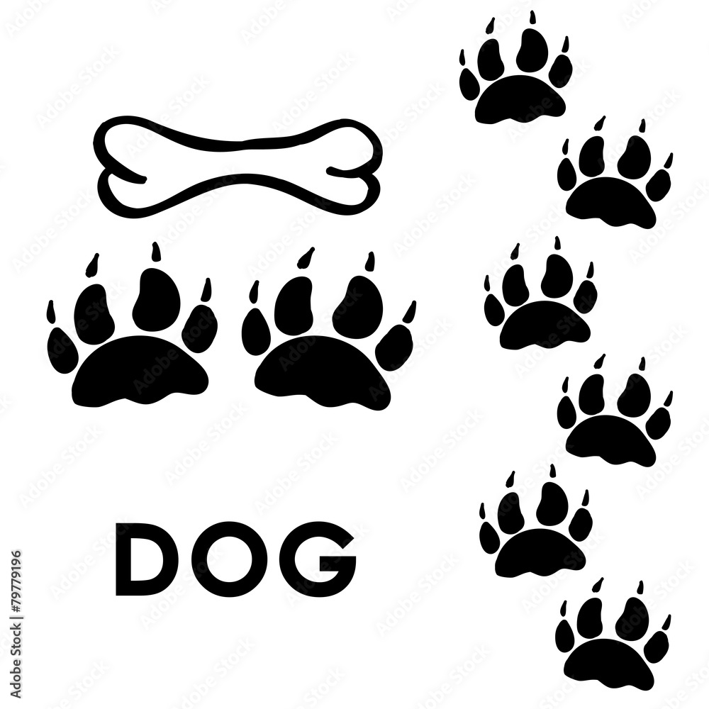 dog's paw prints dog's paw prints