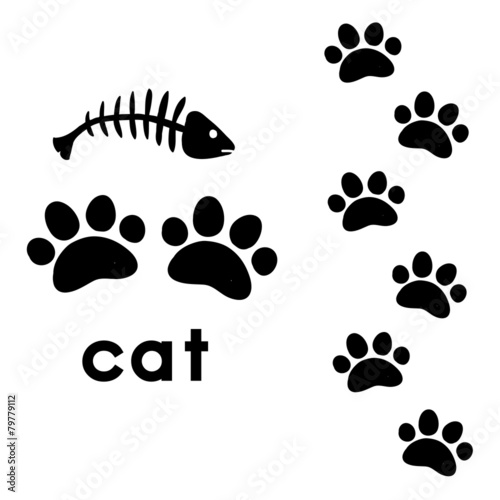 cat's paw prints