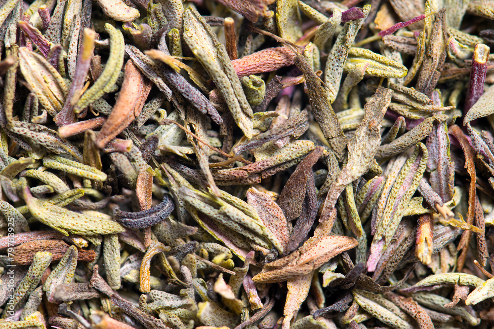Macro photo of thyme dried leaves . Closeup 1:1 Macro photo of thyme dried leaves . Closeup 1:1