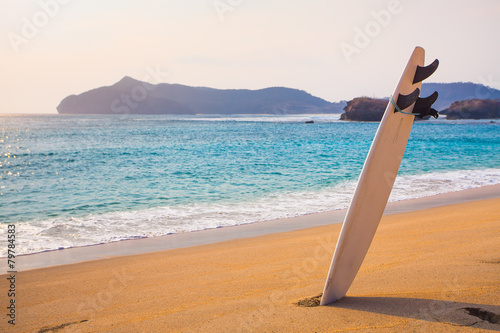 surfboard on the wild beach