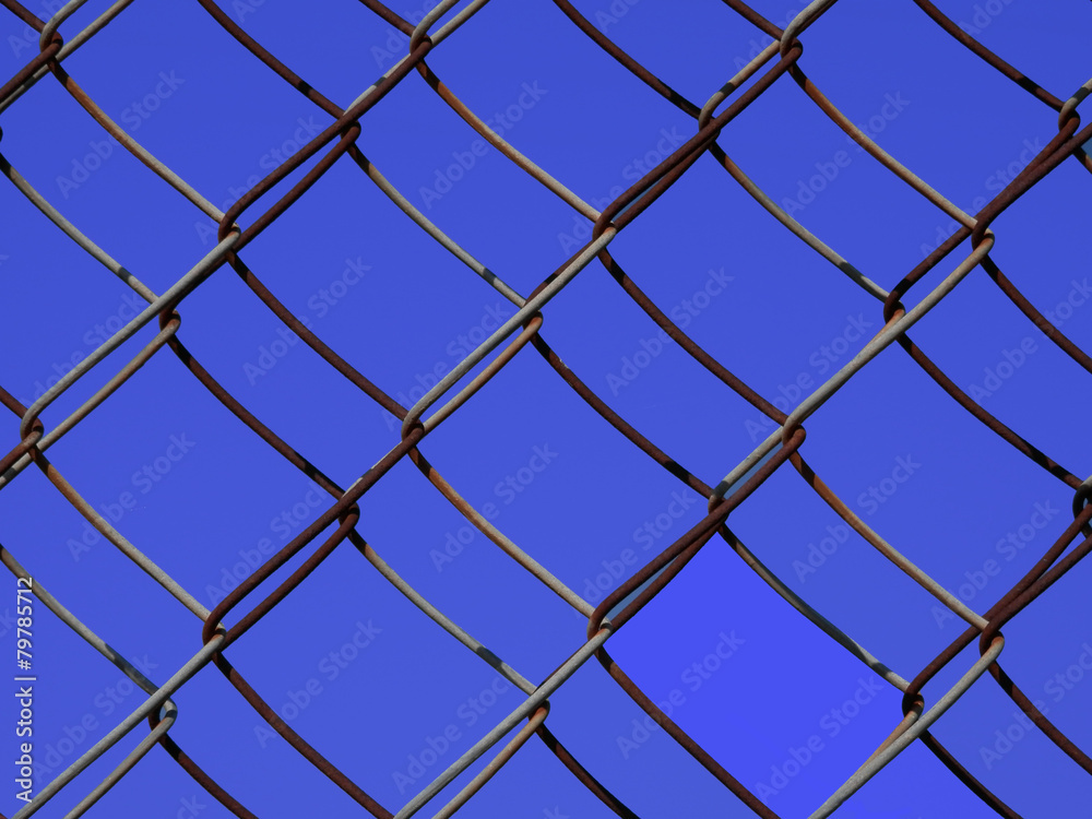 Fototapeta premium Rete