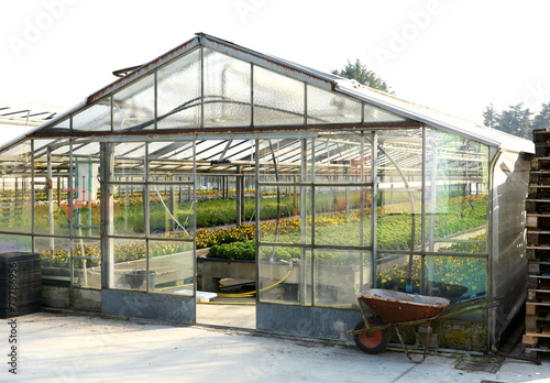 Green Plants in an Industrial-sized Greenhouse © photology1971