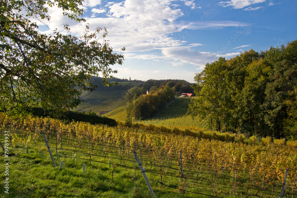 Naklejka premium Urlaub in der Steirischen Weinstraße