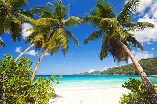 Strandblick auf den Seychellen
