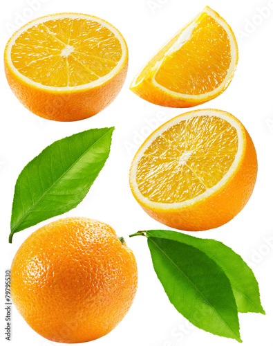 set of oranges isolated on the white background