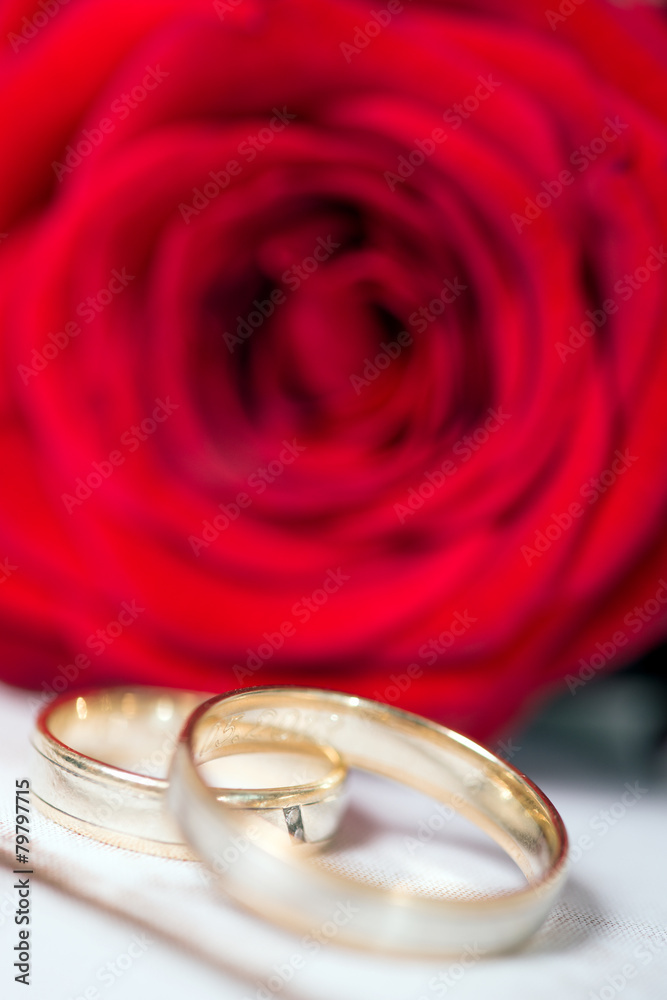 rote Rose mit Eheringen rote Rose mit Eheringen