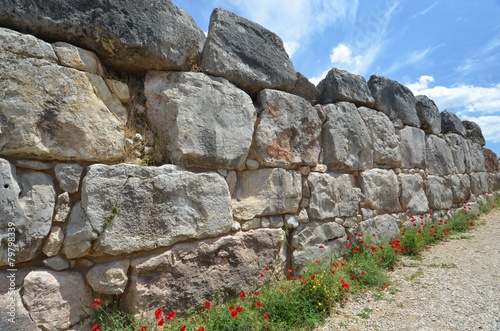 Tiryns photo