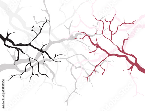 Branch