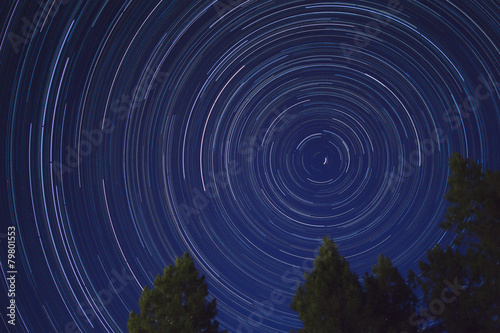 Star Trails with Trees