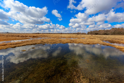 Fototapeta Naklejka Na Ścianę i Meble -  Small lake on meadow