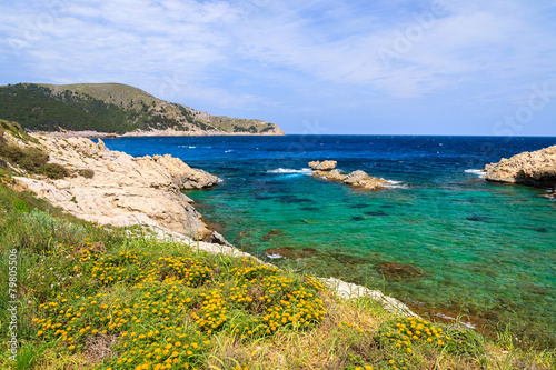 Beautiful bay with spring flowers, Cala Ratjada, Majorca island