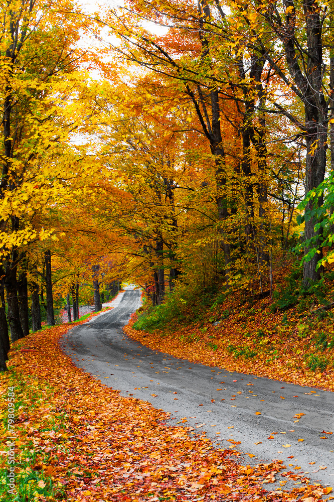Colorful autumn trees on a winding country road in Vermont