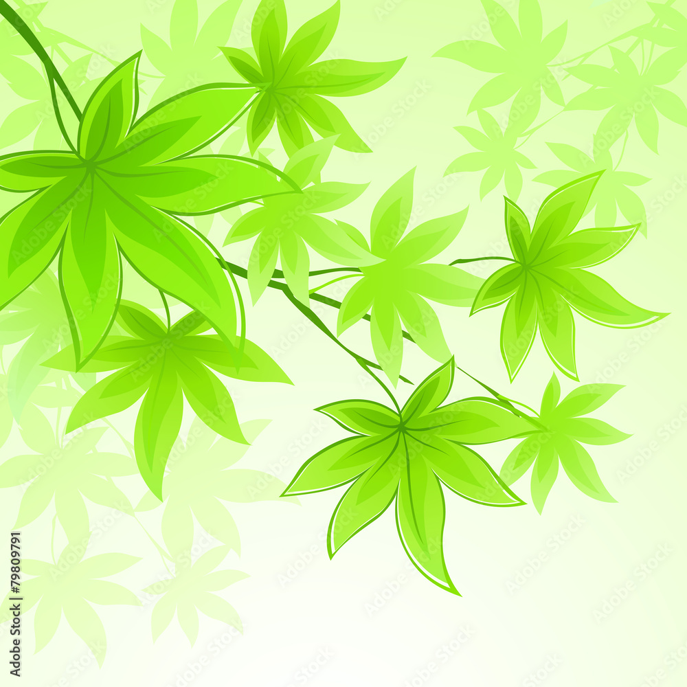 Natural vector background with green spring leaves