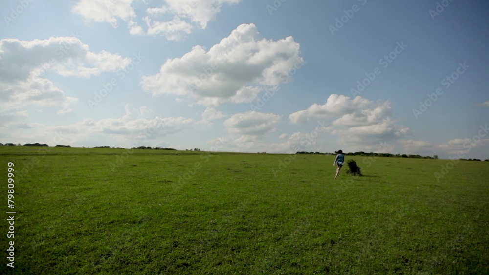 The girl runs barefoot on the grass The girl runs barefoot on the grass