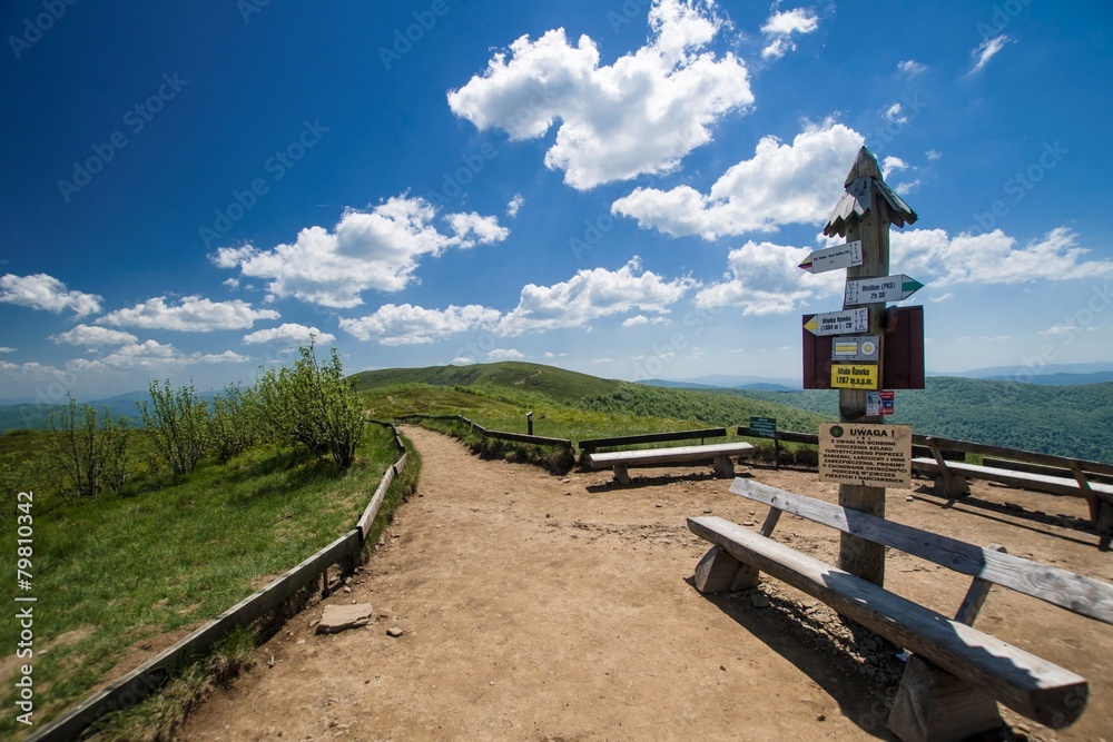 Obraz premium Oznaczenia szlaków na Małej Rawce, Bieszczady