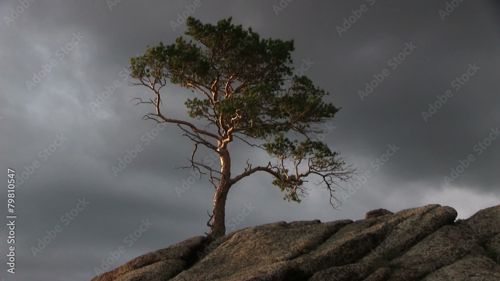 Evening Sky With Rock And Tree Evening Sky With Rock And Tree