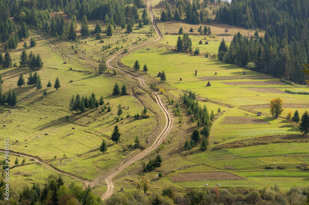 Naklejka premium path