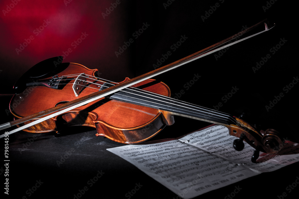 Fototapeta premium Violin