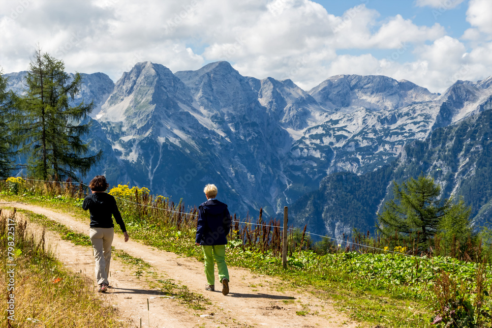 Wanderer in Österreichs Bergwelt