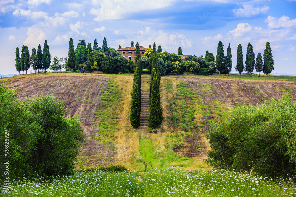 Tuscany landscape, San Quirico d´Orcia, Italy