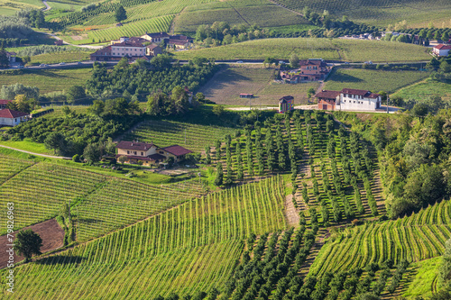 Rural houses among green hills and vineyards of Piedmont, Northe