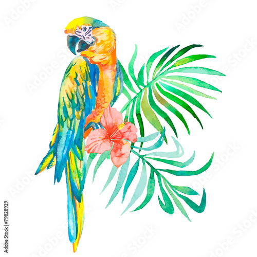 Tropical birds isolated on white background. Macaws. Art.