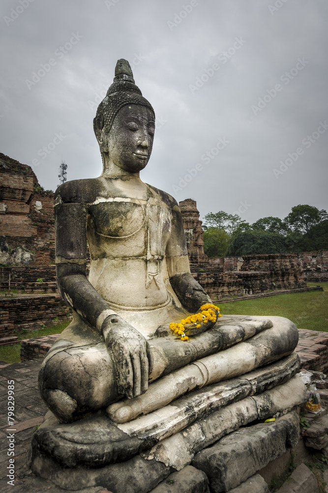 Buddha statue at Wat Phu Khao Thong in Ayutthaya. Thailand.