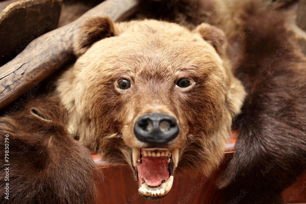 Obraz premium Stuffed bear