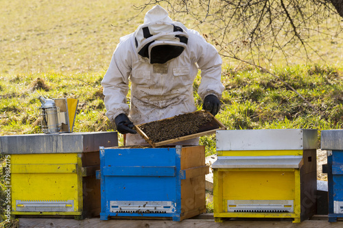 Beekeeper at work