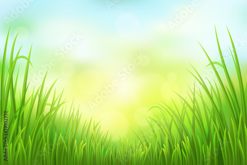 Spring green grass background, vector illustration