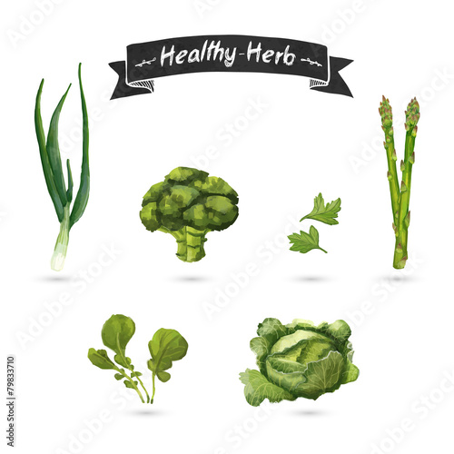 Set of herbs for food in a watercolor style. Isolated. Vector.