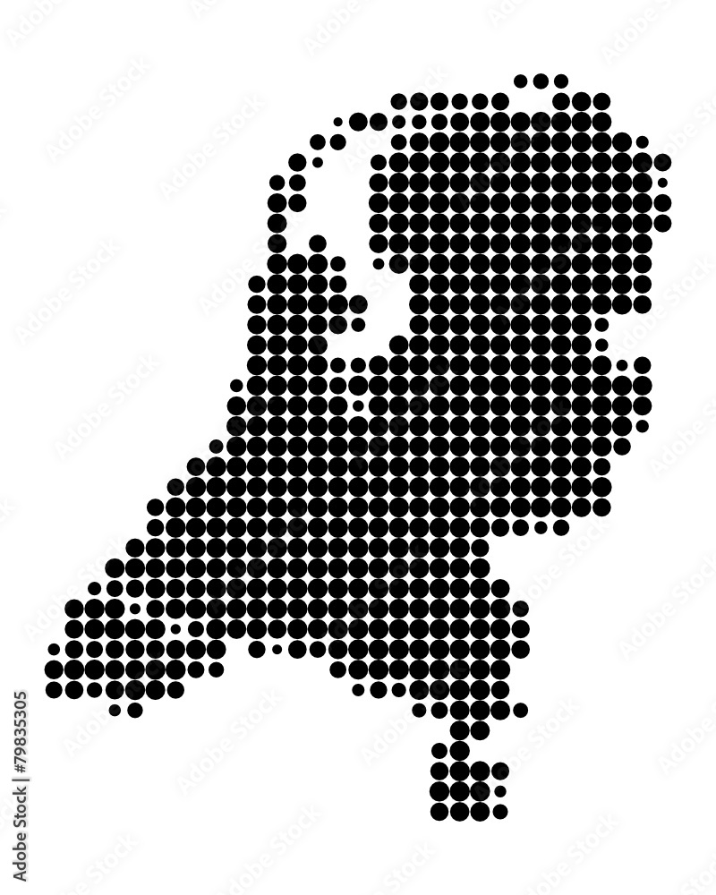 Obraz premium Karte der Niederlande