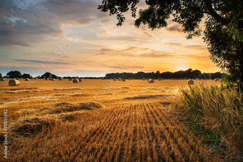 Rural landscape image of Summer sunset over field of hay bales