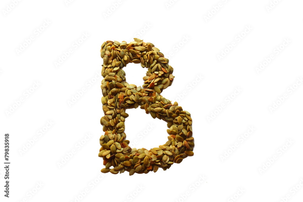 letter b on a white background