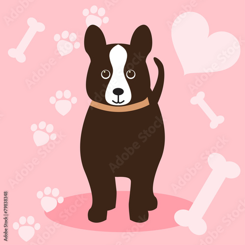 funny little dog