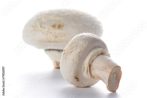 Button mushrooms on white background with reflection photo