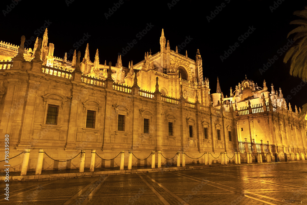 West facade of Seville's Cathedral at night. Spain