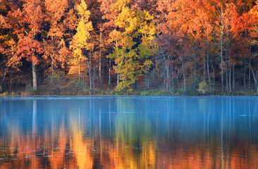 Wandcirkels Herfst Herfstreflecties in stille bosvijver  © SNEHIT PHOTO