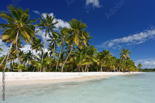 DOMINICAN REPUBLIC, SAONA ISLAND, PALM TREES ON BEACH