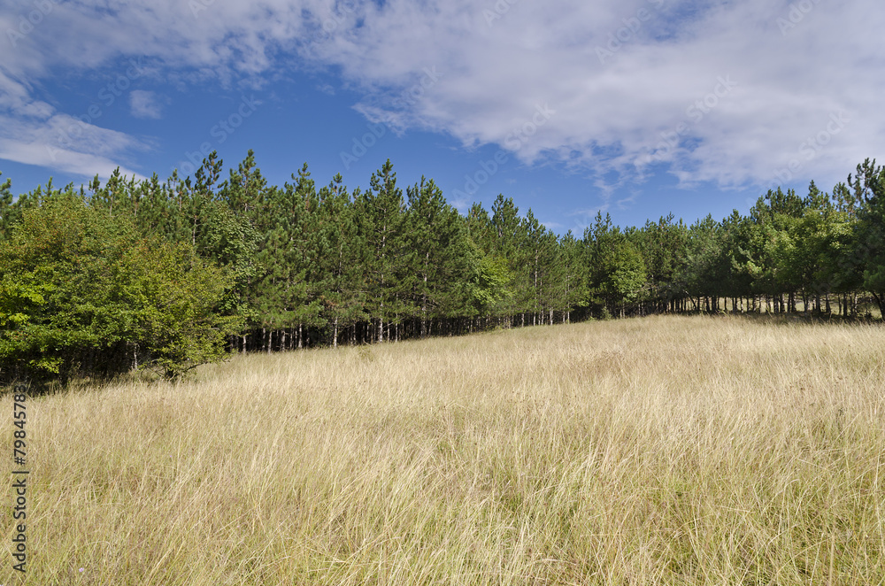 Sunny Blue Sky, Meadow and a hills near the village Katselovo